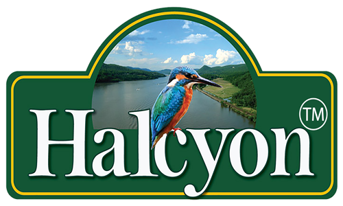 Halcyon